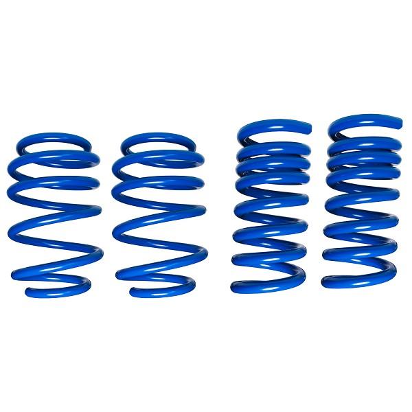 STEEDA S550 MAGNERIDE COMPETITION DUAL RATE SPRINGS