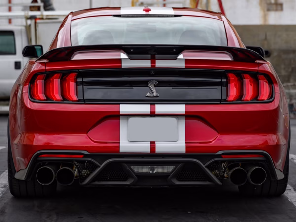 Genuine Ford GT500 Rear Diffuser And Close Out Panel Kit For Mustang GT And Bullitt
